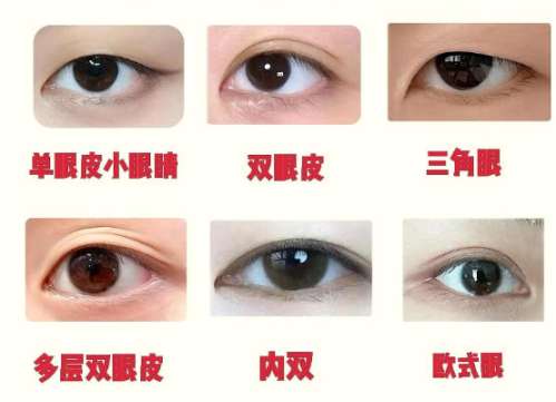 广州南方医院胡志奇修复双眼皮厉害吗？医生资质、优势分析！插图4