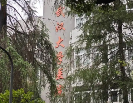 武大人民医院吴小蔚做隆胸和双眼皮修复？主任医师，技术国际领先插图2