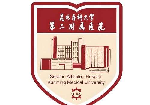 昆明汤婷脂肪填充怎么样？着重介绍了医生的简介，擅长项目等资料插图2