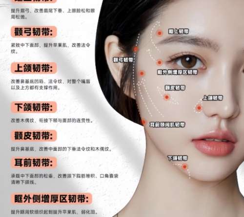 北京全脸脂肪填充好的医生都有谁？陈晓芳、胡晓根实力超群！插图4