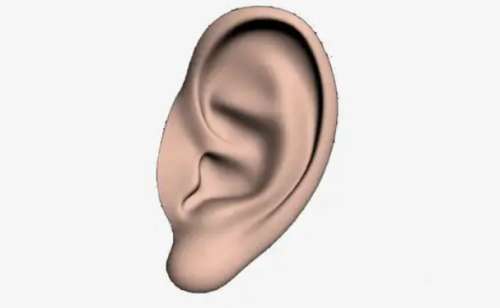 河北省儿童医院张蕴珍招风耳整形90天野生案例(效果怎么样?技术评测)插图1