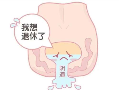 郑大一附院朱莹做私密整形怎么样？注重功能+美学， 紧缩8000元起！插图