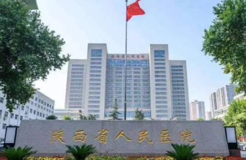 西安玻尿酸填充去哪家医院比较好？ 多位专家技术点评与效果反馈插图1