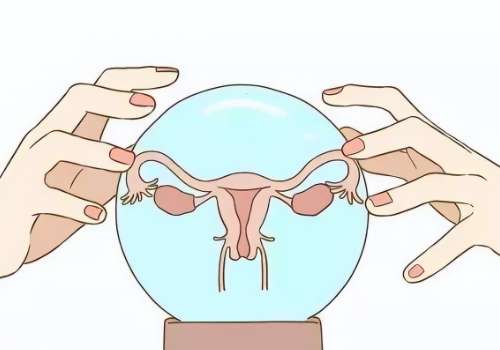 天津王爽医生擅长什么？女性私密整形技术好/经验丰富！插图