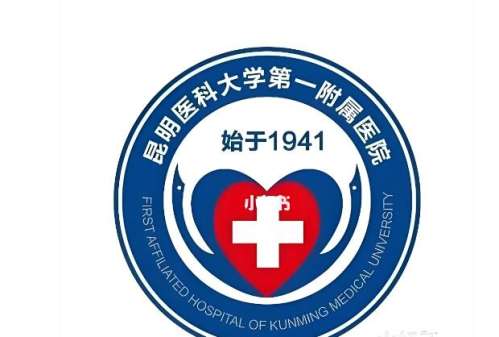 昆明脂肪填充李成龙介绍，擅长项目+技术特点讲解插图1