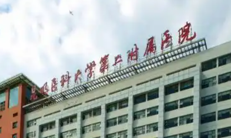 昆明玻尿酸填充有哪些好医生？ 专家实力点评与效果反馈插图1