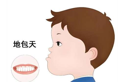 上海正畸聂萍医生简介，拥有口腔医学博士学位插图2