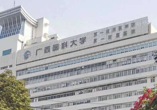 南宁植发医院植发价格多少？8000元起，价格明细与口碑医院选择指南请收好插图2