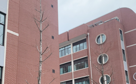 上海九院刘凯半侧颜面萎缩脂肪移植好吗？技术实力揭秘插图3