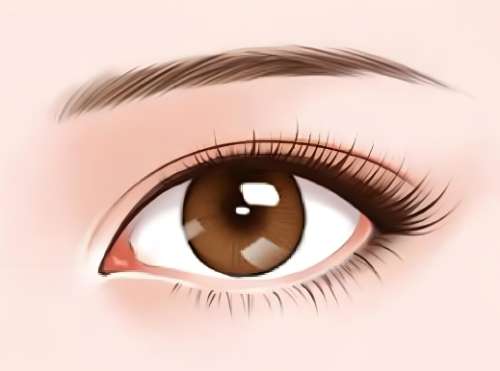 周珍艳医生口碑怎么样？胸部整形医生推荐 | 伯思立插图1