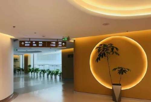 上海九院刘凯医生面部年轻化手术与轮廓调整插图1