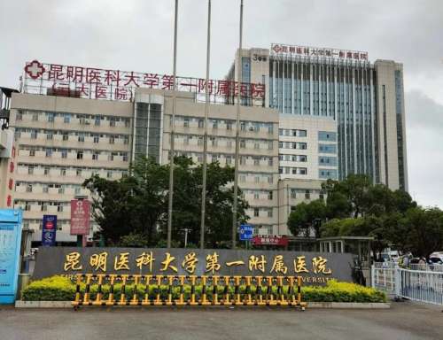 云大医院张艳飞医生简介：眼科主任、擅长眼部疾病诊疗与眼整形项目插图1