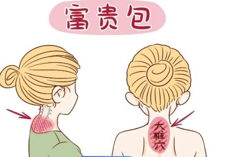 成都军大做富贵包如何？富贵包案例分享插图1