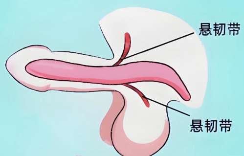 哈尔滨延长手术找哪个医生？速看医生信息，坐诊医院简介精选插图3