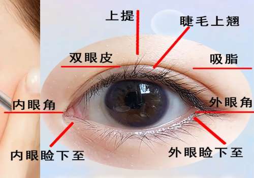 张井忠双眼皮最新价格2026在线更新!费用大概在7453~16,154元左右!插图3 张井忠双眼皮最新价格2026在线更新!费用大概在7453~16,154元左右!插图3