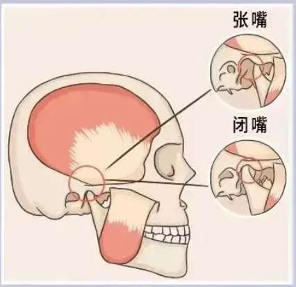 武汉颌面外科贾玉林怎么样?医生履历丰富口碑良好!插图3 武汉颌面外科贾玉林怎么样?医生履历丰富口碑良好!插图3