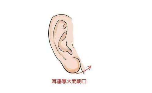 济南市儿童医院牛贝贝耳朵整形技术怎么样?价格明细|价格多少插图2 济南市儿童医院牛贝贝耳朵整形技术怎么样?价格明细|价格多少插图2