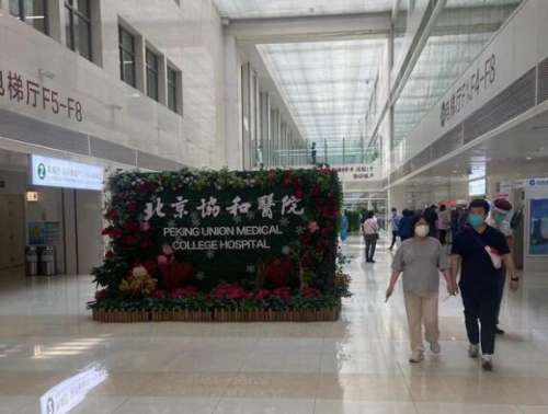 俞楠泽和黄久佐谁厉害一点?实力大咖技术、口碑PK插图2 俞楠泽和黄久佐谁厉害一点?实力大咖技术、口碑PK插图2