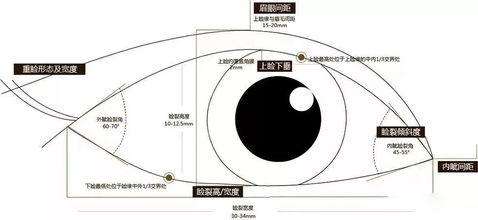 想做双眼皮手术？这些干货知识你要知道！插图3