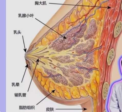 温州隆胸医生前十名!十位医生简介!点击分析!插图4 温州隆胸医生前十名!十位医生简介!点击分析!插图4