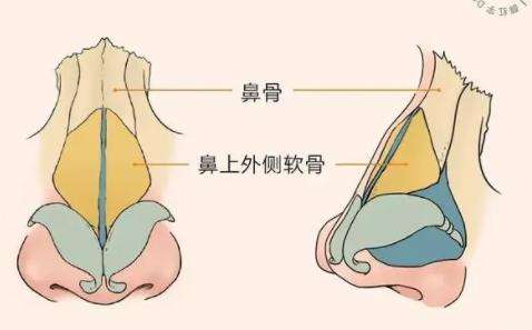项昌峰鼻修复怎么样?坐诊医院是哪家?鼻修复按比例插图4 项昌峰鼻修复怎么样?坐诊医院是哪家?鼻修复按比例插图4