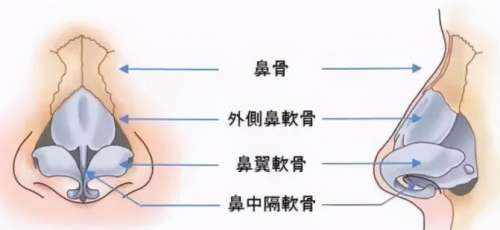 任东整形医生简历!医生凭借着扎实的基本功底及精湛技法!插图1 任东整形医生简历!医生凭借着扎实的基本功底及精湛技法!插图1