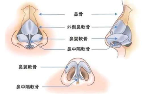 项昌峰鼻修复怎么样?坐诊医院是哪家?鼻修复按比例插图3 项昌峰鼻修复怎么样?坐诊医院是哪家?鼻修复按比例插图3
