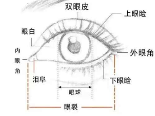 张井忠双眼皮最新价格2026在线更新!费用大概在7453~16,154元左右!插图1 张井忠双眼皮最新价格2026在线更新!费用大概在7453~16,154元左右!插图1