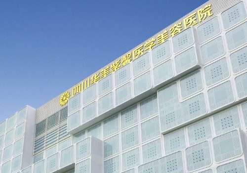 赵敬国和汪灏谁厉害!都是高人气胸部整形大拿、风格各具特色插图3 赵敬国和汪灏谁厉害!都是高人气胸部整形大拿、风格各具特色插图3
