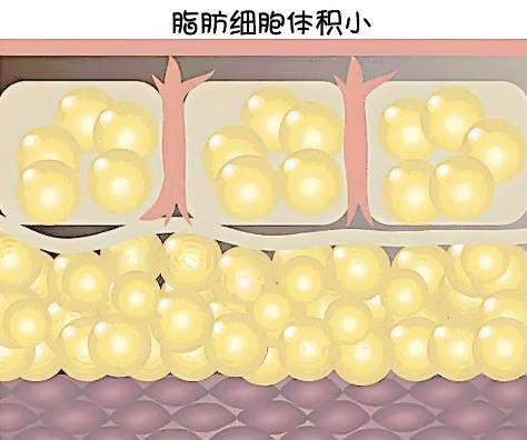 张井忠怎么样?大连美天医院人气医生信息盘点!插图1 张井忠怎么样?大连美天医院人气医生信息盘点!插图1