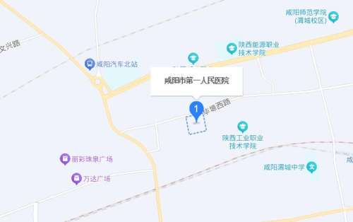 汤张洪怎么样?医生口碑及顾客真实评价来袭!插图2 汤张洪怎么样?医生口碑及顾客真实评价来袭!插图2