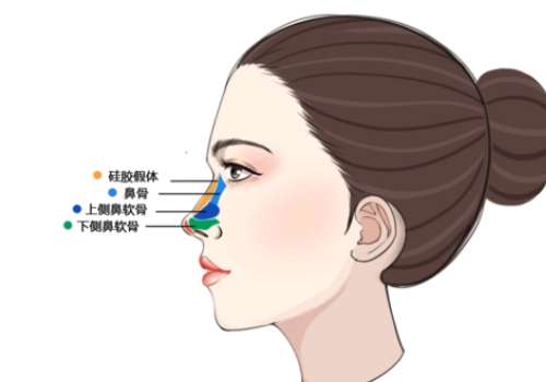 唐鏖医生擅长的鼻子风格是什么?医生简介及坐诊医院详情分析!插图1 唐鏖医生擅长的鼻子风格是什么?医生简介及坐诊医院详情分析!插图1