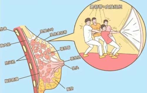 沈正宇医生是哪个医院的?医生个人简历揭秘!插图3 沈正宇医生是哪个医院的?医生个人简历揭秘!插图3