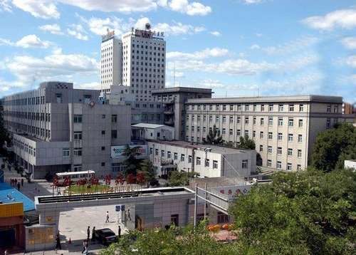 陈露露植发怎么样？技术优势点评、坐诊机构、植发案例点评插图2