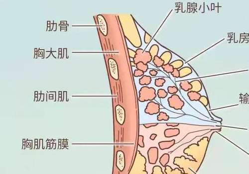 北京缩胸手术穆大力怎么样?坐诊医院信息及案例分析!插图2 北京缩胸手术穆大力怎么样?坐诊医院信息及案例分析!插图2