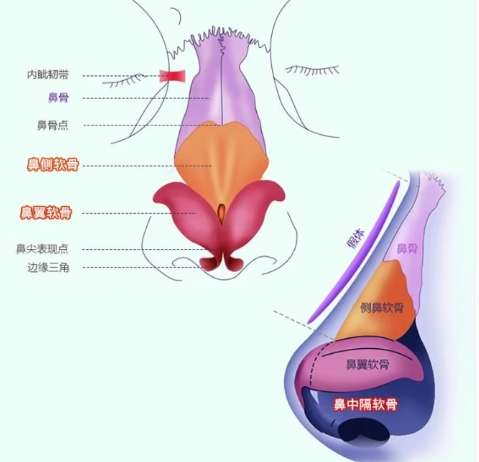党宁医生的简历介绍精选分享曝光!查看医生实力一文了然!插图4 党宁医生的简历介绍精选分享曝光!查看医生实力一文了然!插图4