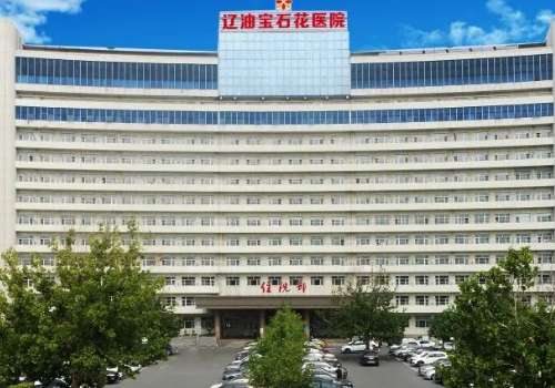 盘锦辽油宝石花医院玻尿酸丰唇手术技术怎么样?医院实力分析|费用明细插图1