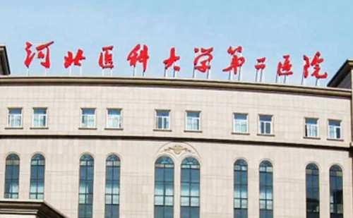 河北医科大学第二医院张春莉自体脂肪填充额头技术特点怎么样?经验案例插图 河北医科大学第二医院张春莉自体脂肪填充额头技术特点怎么样?经验案例插图