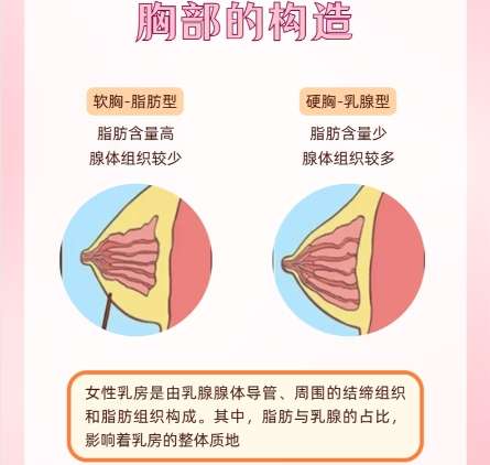 厦门隆胸医生名单!医生简介以及医院坐诊介绍插图4 厦门隆胸医生名单!医生简介以及医院坐诊介绍插图4