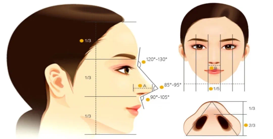 长沙鼻部整形哪里好?鼻型矫正适合哪些人插图 长沙鼻部整形哪里好?鼻型矫正适合哪些人插图