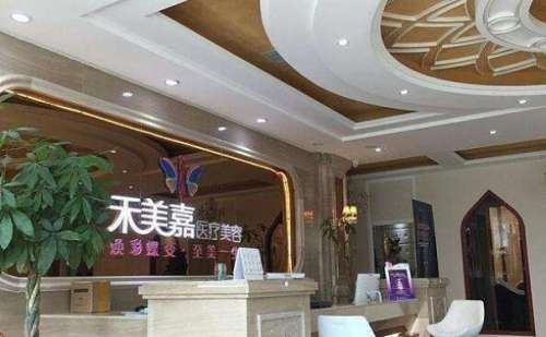 北京禾美嘉自体脂肪填充医生分析插图