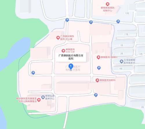 广西柳钢医院整形科挂号多少钱?专家和普通医生费用差别大吗?插图1 广西柳钢医院整形科挂号多少钱?专家和普通医生费用差别大吗?插图1