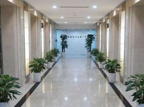 成都蔡震怎么样?擅长哪些项目?双眼皮恢复日记展示插图1 成都蔡震怎么样?擅长哪些项目?双眼皮恢复日记展示插图1