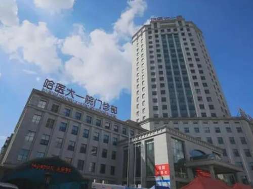 哈尔滨刁志勇医生双眼皮怎么样?在哪里坐诊?擅长项目点评插图