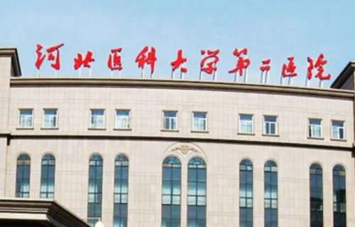 石家庄隆鼻整形要多少钱?一般在9975~44,379元左右!费用攻略拿下插图3 石家庄隆鼻整形要多少钱?一般在9975~44,379元左右!费用攻略拿下插图3