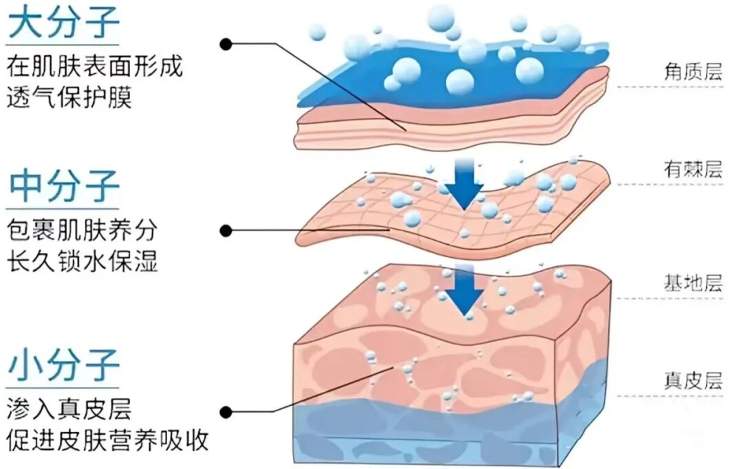 面部填充的价格是多少?面部填充的并发症术前要清楚插图 面部填充的价格是多少?面部填充的并发症术前要清楚插图