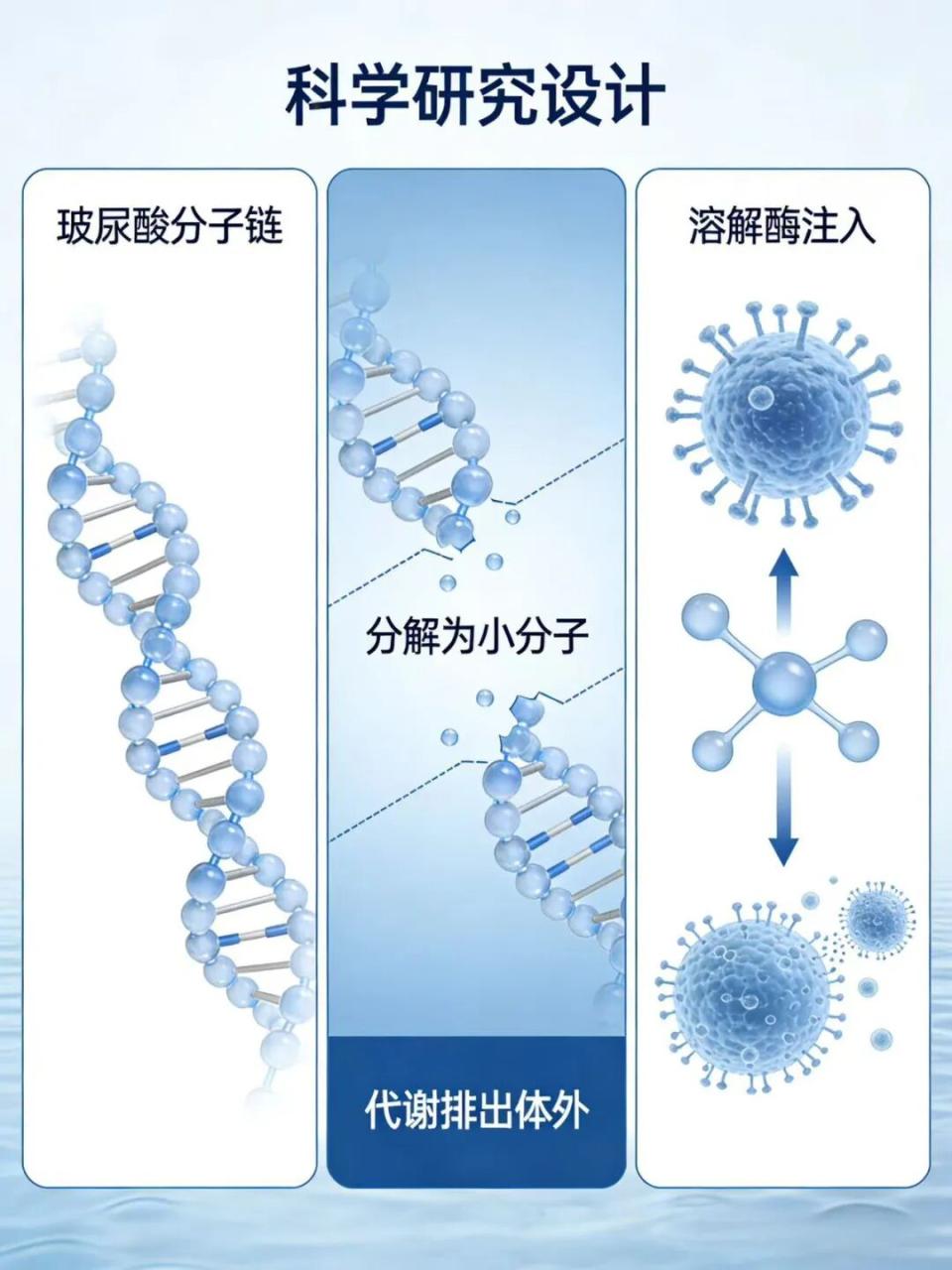 长沙玻尿酸溶解价格是多少?一针多少钱才合理?插图 长沙玻尿酸溶解价格是多少?一针多少钱才合理?插图