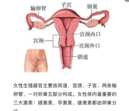 李峰永医生怎么挂号？预约攻略展示！线上VS线下哪个方便选哪个插图4