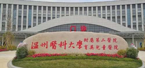 温州提眉手术多少钱?附属二院、一院、伯思立等性价比较高!插图1 温州提眉手术多少钱?附属二院、一院、伯思立等性价比较高!插图1