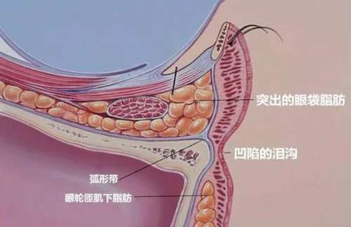 成都大象致颜医美收费价格表揭晓!戳进来看真实的用户口碑插图3 成都大象致颜医美收费价格表揭晓!戳进来看真实的用户口碑插图3